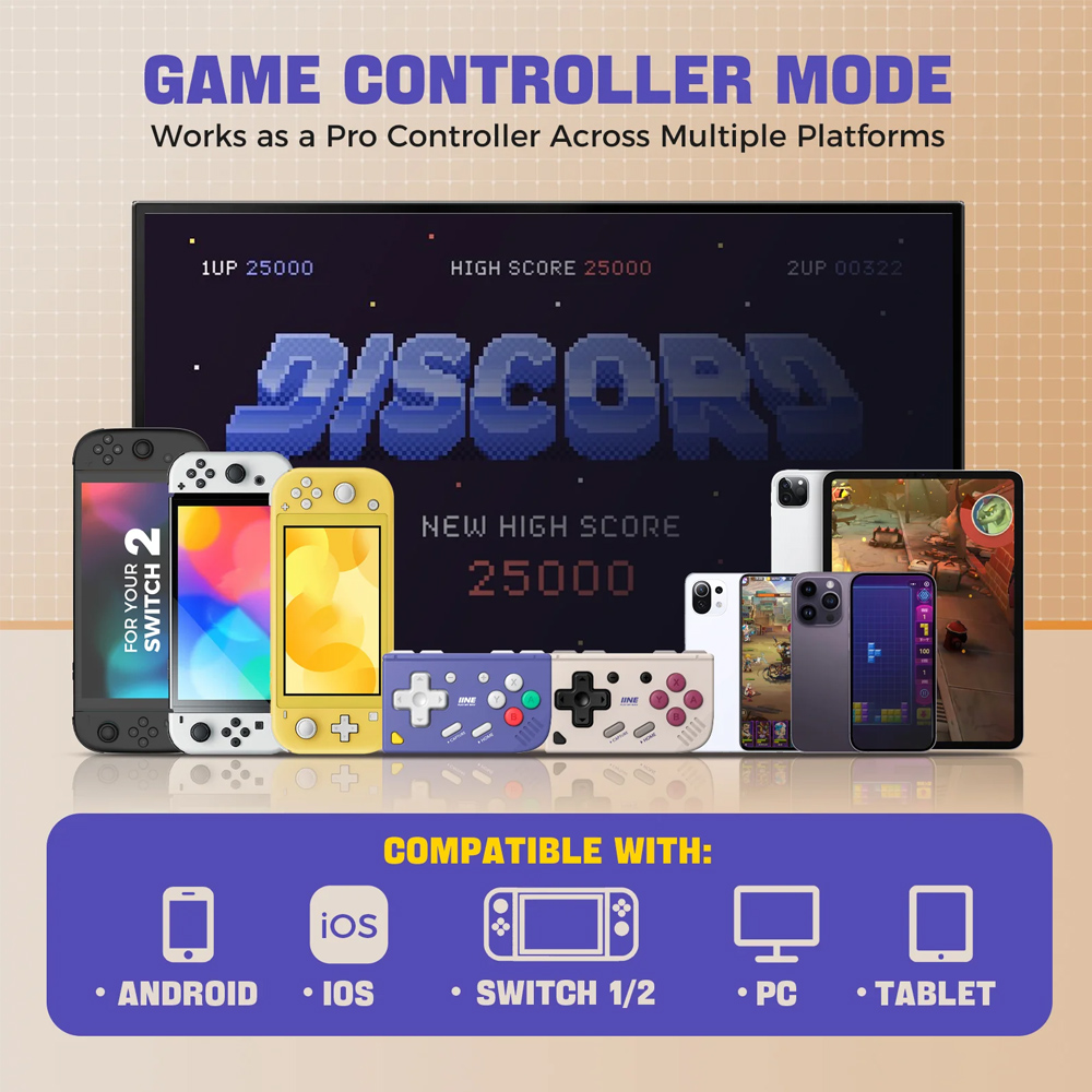 IINE Ananke Gen 2 Retro Mini G - Console Gaming Steam 评论和价格