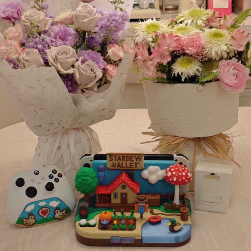 Switch Dock Stardew Valley Far - Gaming Console Stand 评论和价格